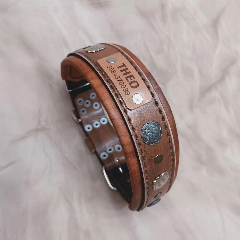 May include: A brown leather dog collar with decorative metal studs and accents. The collar features a nameplate with the name "THEO" and a phone number. The collar is designed with a padded interior for comfort.