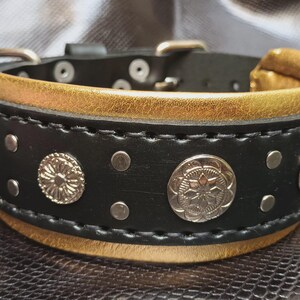 May include: Black leather dog collar with gold accents and silver metal decorative accents. The collar has a stitched design and is decorated with round silver metal pieces.