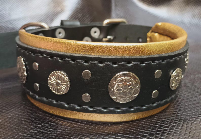 May include: Black leather dog collar with gold accents and silver metal decorative accents. The collar has a stitched design and is decorated with round silver metal pieces.