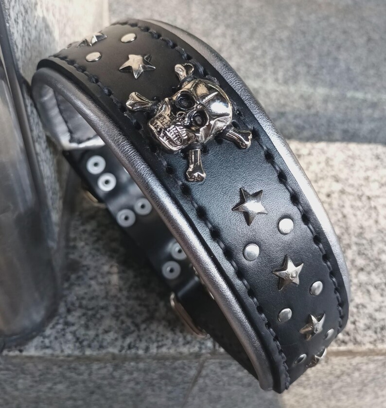 Puede incluir: Collar de perro de cuero negro con tachuelas plateadas, un dise&ntilde;o de calavera y huesos cruzados y detalles de estrellas plateadas.