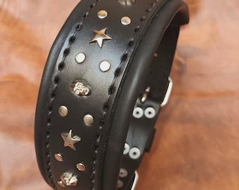 Collar Cuero 100% Acolchado con Calaveras Estrellas Metálicas Ideal Dogo Cane Corso Rottweiler Pitbull Doberman Bulldog Presa Pastor Alemán