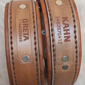 Puede incluir: Dos collares de perro de cuero marr&oacute;n con bordes cosidos. Uno est&aacute; etiquetado "GRETA" con el n&uacute;mero "1144030848", y el otro "KAHN" con el n&uacute;mero "3462670412". Ambos collares tienen remaches met&aacute;licos.