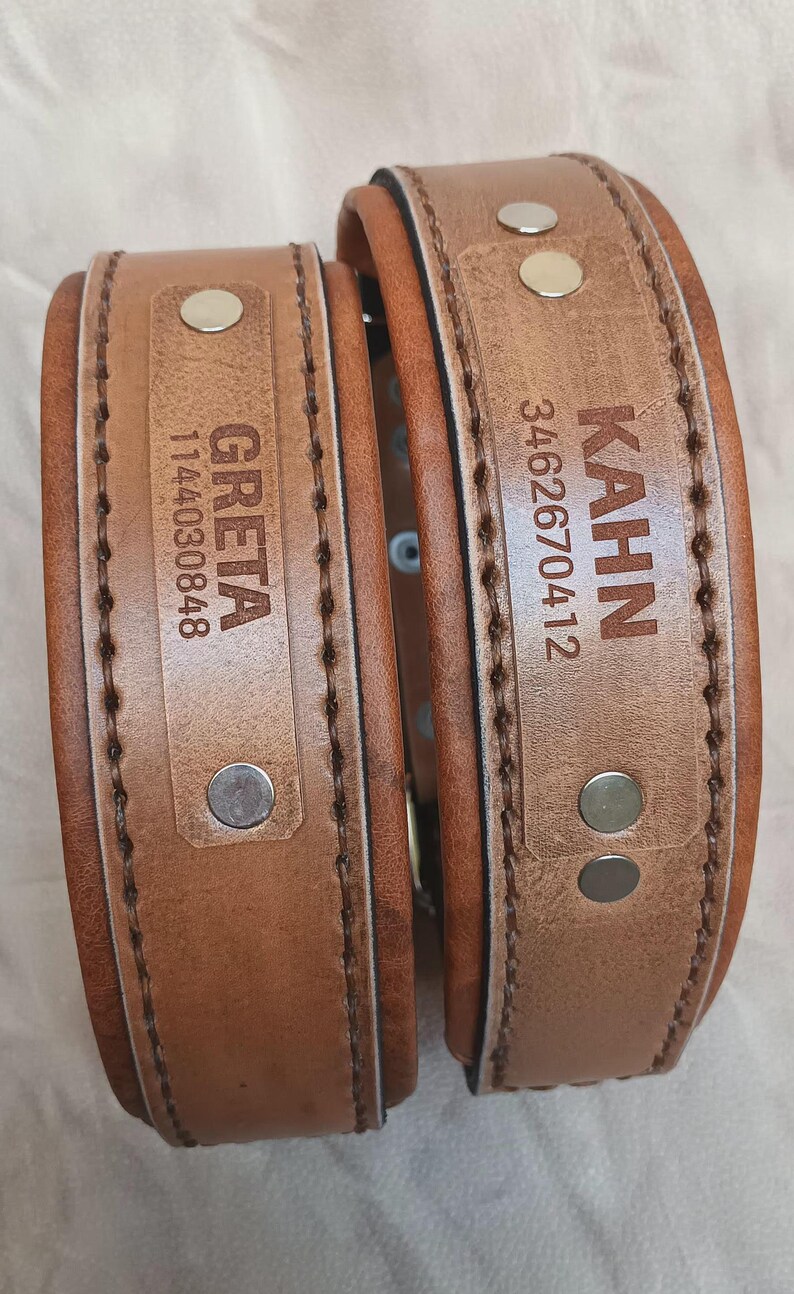 Puede incluir: Dos collares de perro de cuero marr&oacute;n con bordes cosidos. Uno est&aacute; etiquetado "GRETA" con el n&uacute;mero "1144030848", y el otro "KAHN" con el n&uacute;mero "3462670412". Ambos collares tienen remaches met&aacute;licos.