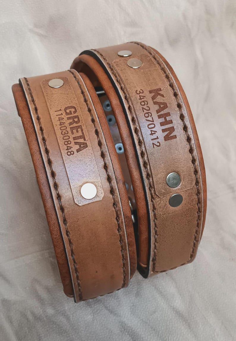 Puede incluir: Dos collares de perro de cuero marr&oacute;n con bordes cosidos y remaches met&aacute;licos. Uno est&aacute; etiquetado "GRETA" con el n&uacute;mero "114030848", y el otro "KAHN" con el n&uacute;mero "3462670412".