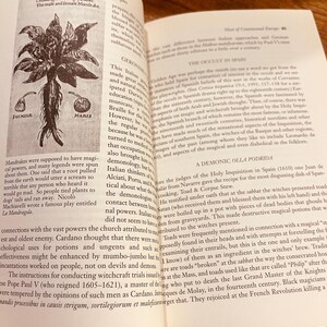 Pu&ograve; includere: Pagina di libro aperto con un'illustrazione di una pianta di Mandragora, con etichette. Il testo descrive le propriet&agrave; magiche della pianta e il suo utilizzo nei processi per stregoneria.