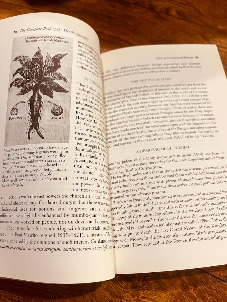 Pu&ograve; includere: Pagina di libro aperto con un'illustrazione di una pianta di Mandragora, con etichette. Il testo descrive le propriet&agrave; magiche della pianta e il suo utilizzo nei processi per stregoneria.