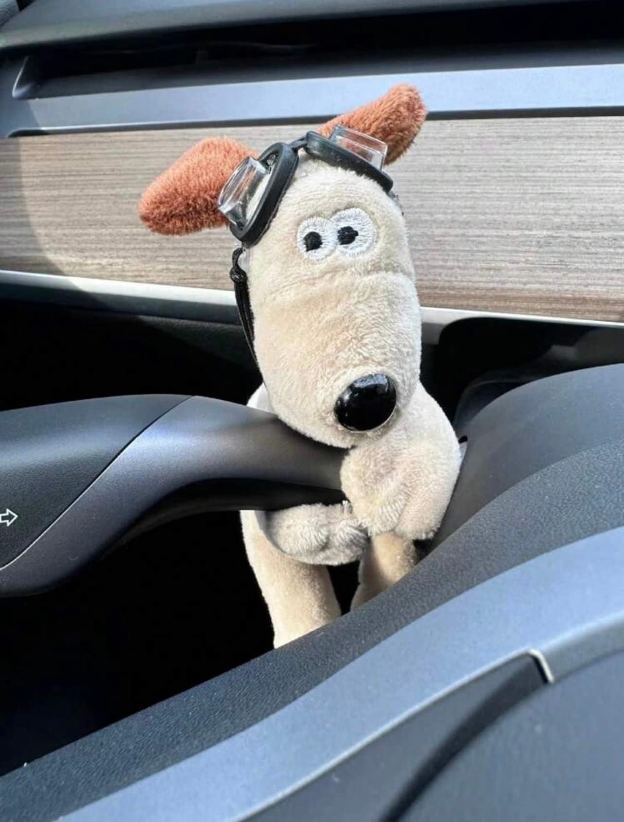 Mini car on sale dog accessories