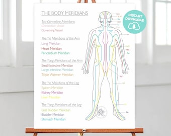 Póster imprimible de los meridianos del cuerpo. Tabla de acupuntura. Ilustración de los 12 meridianos. Decoración de medicina china. Signo de reflexología y acupuntura.