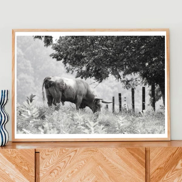 Black and White Cow Print | Printable photo | Digital photography | Instant download | Farm decor | Black and white prints