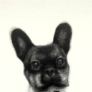 Custom Mini Pet Portrait: Hand-Drawn Pencil Art, Framed
