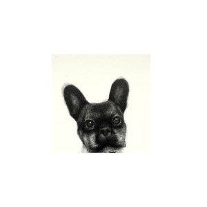 Custom Mini Pet Portrait: Hand-Drawn Pencil Art, Framed