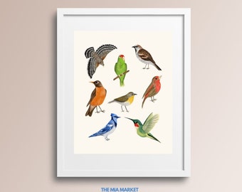 Birds | Giclée Illustrated Birds Art Print with Cream Background, Minimalist Wall Art, Archival Paper, 5x7 8x10 11x14 16x20