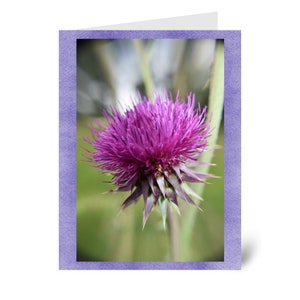 May include: Greeting card featuring a vibrant purple thistle flower in full bloom. The flower has spiky petals and is set against a blurred green background. The card has a lavender border.