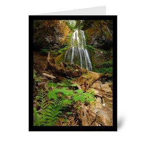 Op de afbeelding: Een weelderige groene bos scène met een waterval die over mos bedekte rotsen stroomt. Op de voorgrond ligt een omgevallen boomstam met wortels en varens.
