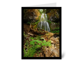 Old English Co. Dragonfly Birthday Card - Painted Botanical Wildlife Card - Birthday Dragonfly Greeting Card For Daughter, Sister, Grandma - Birthday Card For Her, Blank Inside With Envelope