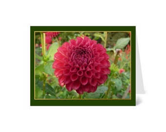 Red Dalia Flower, Nature Greeting Card blank inside with envelope 100% PC recycled paper made with wind-power, A2 size