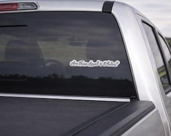 Pegatina táctica divertida: "¿Son esas placas de nivel 4?". Calcomanía de vinilo.