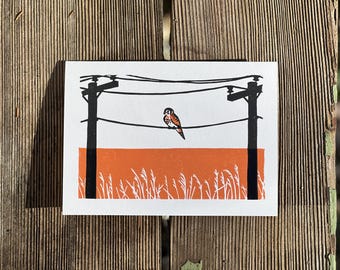 Linogravure crécerelle d'Amérique Carte de vœux