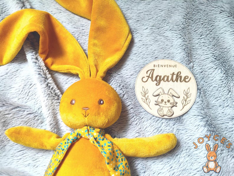 Carte annonce de naissance prénom bébé en bois personnalisée, plaque bienvenue bébé, carte je m'appelle, plaque naissance animaux mignons image 2
