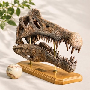 Spinosaurus skull - Etsy 日本