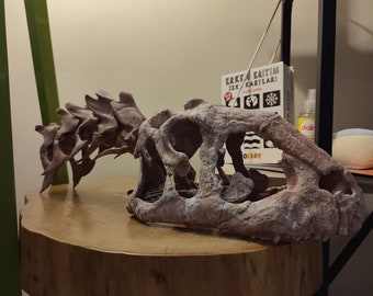 Majungasaurus Skull and Vertebrae Replica Sculpture From Real Fossil