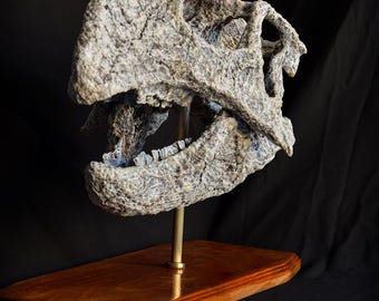 Handmade Psittacosaurus Skull Replica: Museum Quality Dinosaur Gift
