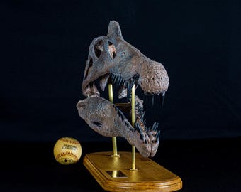 大型で博物館級のスピノサウルスの頭蓋骨レプリカ：栗材の台座、博物館