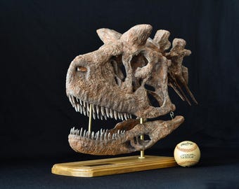 Carnotaurus Skull Replica: Museum-Grade Dinosaur Fossil with Vertebrae