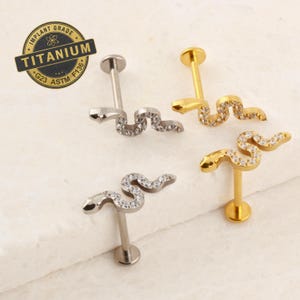 Brincos de cobra com rosca interna, pinos de titânio com parte traseira plana, brincos de titânio 16G 18G, tragus para frente, pinos de labret de hélice TI-FB-cz-snk-013
