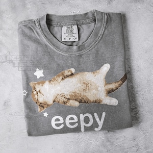 May include: Grey Comfort Colors t-shirt with a sleeping cat graphic in brown and white. The word "eepy" is printed in white below the cat. The shirt has a crew neck and a small tag at the neckline.