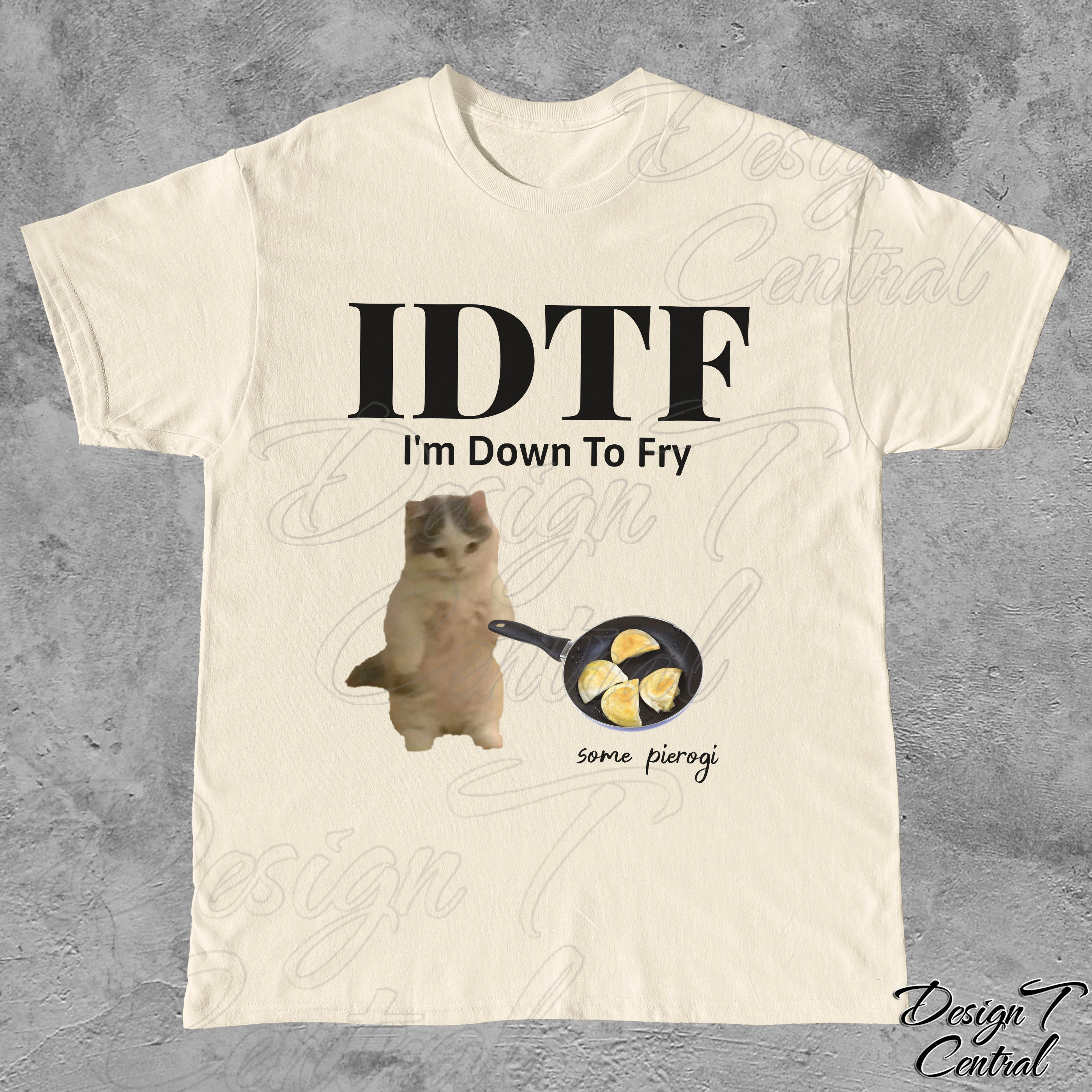 I'm Down To Fry Some Pierogi, IDTF, Aesthetic Coffee Trendy T-Shirt, Funny Cooking Shirt, Polish Gift Hilarious, Woman Gift, Gift for Friend
