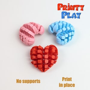 May include: Three 3D-printed objects: a pink brain, a blue brain, and a red heart. The objects are made of small, rectangular blocks. The text "Printy Play" is in the upper right corner. The text "No supports" and "Print in place" are at the bottom.