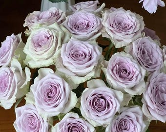 Rare Rose 'Fifth Avenue' 海洋之谜 Shrub Rose, 2gal Live Plant, Rose for Cutting, Long Vase Life Rose, Blue Lavender Rose, Purple Flower Bloom