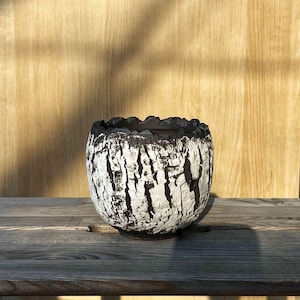 May include: A white and black ceramic planter with a rough, textured surface. The planter has a rounded shape and a wide opening.