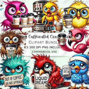 Funny Cartoon Caffeinated Quirky Birds Clipart Bundle, Silly Coffee Sticker, Whimsical Crazy Animals PNG for Invitations, Commercial Use