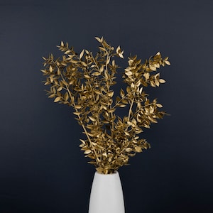 Gold Dried Flower - Italian Ruscus - Dried Flowers Wholesale
