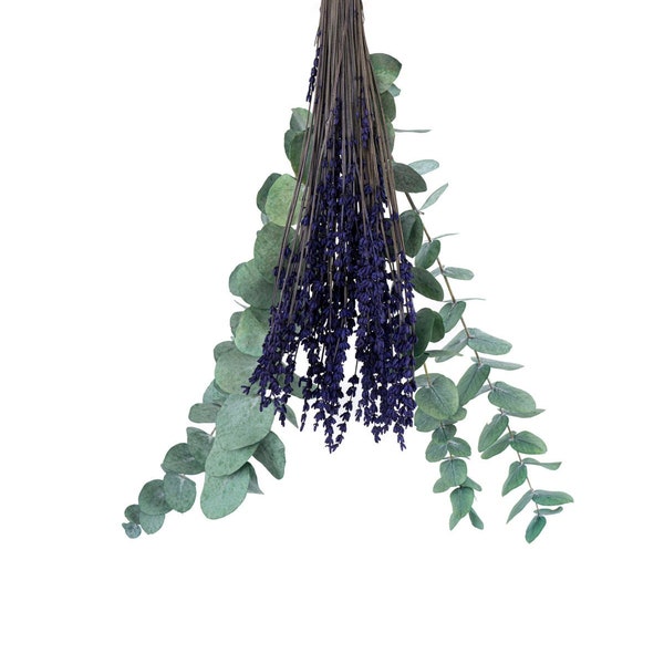 Shower Eucalyptus Etsy