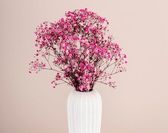 Konservierte Pink Gypsophila - Getrockneter Schleierkraut Strauß - Großgetrocknete Blumen