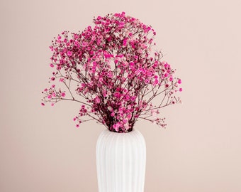 Preserved Hot Pink Gypsophila  - Dried Baby's Breath Bouquet - Bulk Dried Flowers