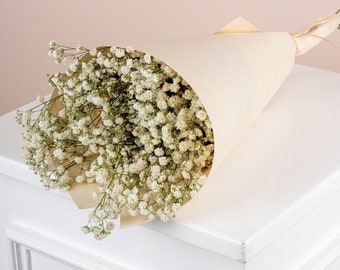 Dried Baby's Breath Flowers  - White Dried Flower Gypsophila - Bulk Natural  Baby's Breath