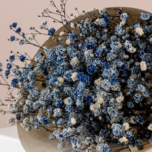 Preserved Dark Blue Gypsophila Flowers  - Dried Flowers Wholesale - Dried Flowers Bunch