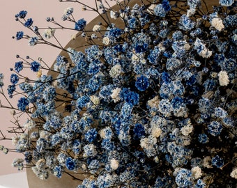 Preserved Dark Blue Gypsophila Flowers  - Dried Flowers Wholesale - Dried Flowers Bunch