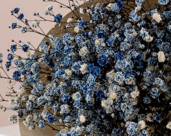 Preserved Dark Blue Gypsophila Flowers  - Dried Flowers Wholesale - Dried Flowers Bunch