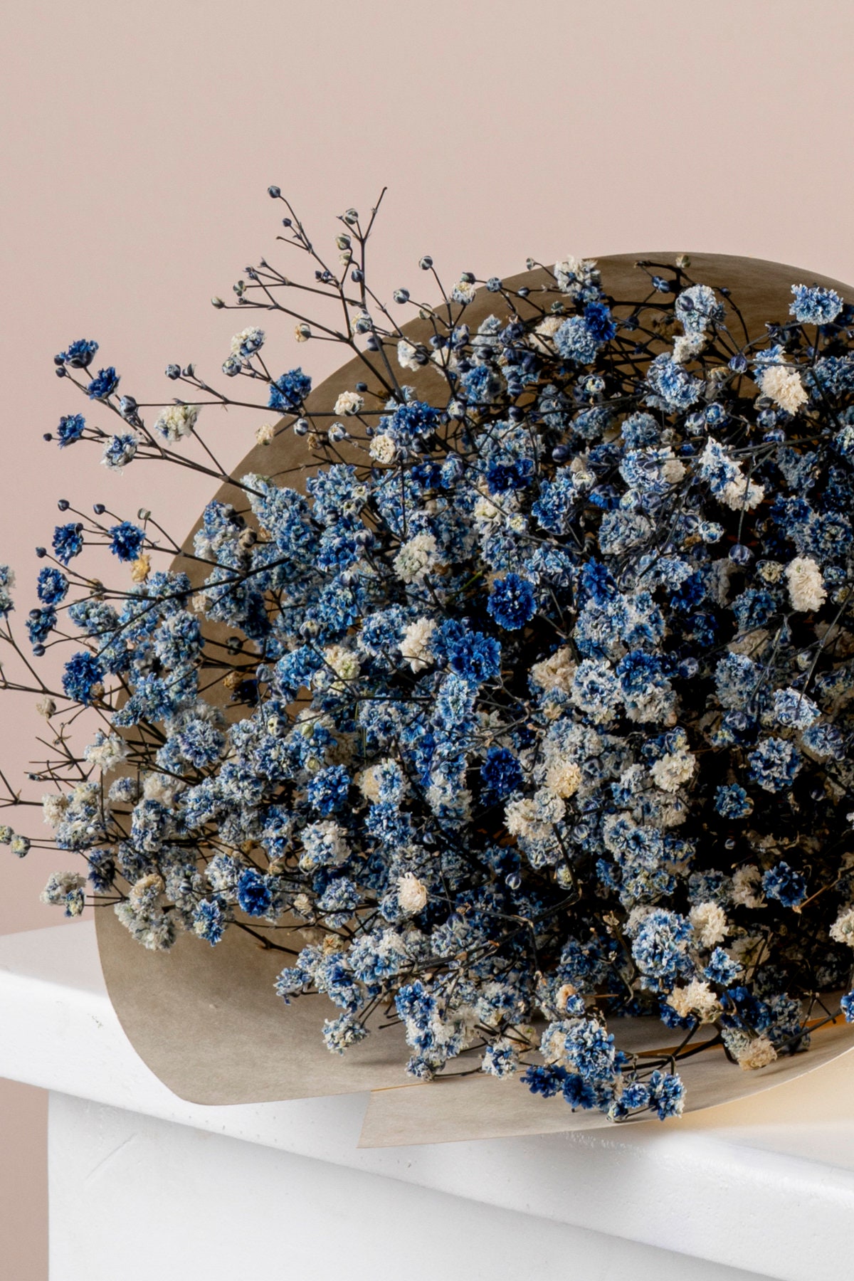 Bouquet de gypsophile séché et emballé, 100g, H75cm Bouquet de gypsophile séché et emballé, 100g, H75cm