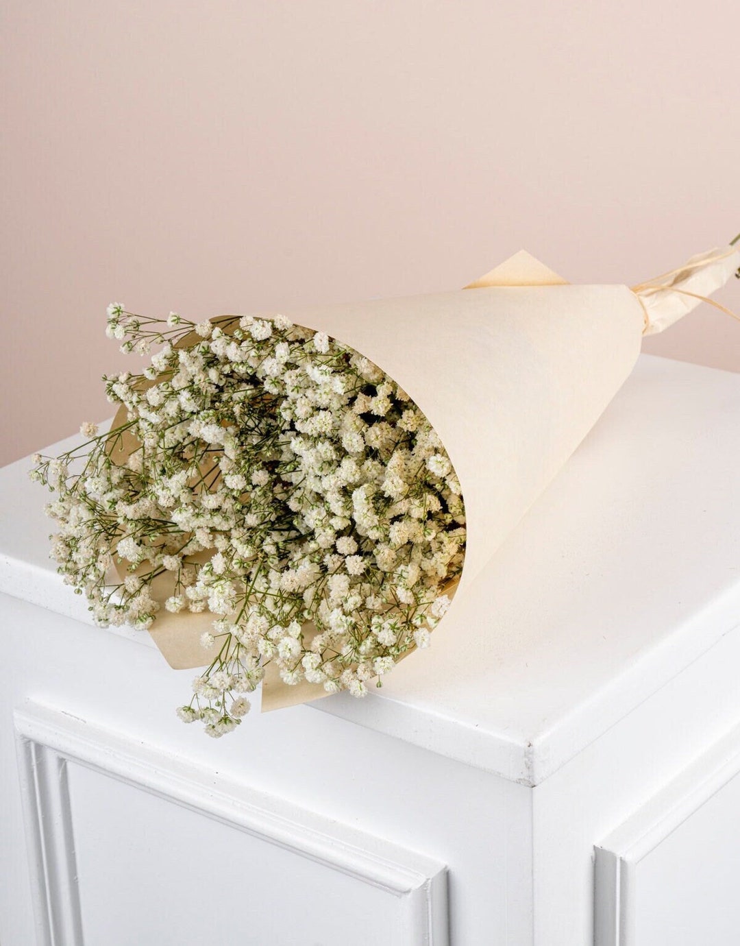 Dried Baby's Breath Flowers - White Dried Flower Gypsophila - Bulk ...