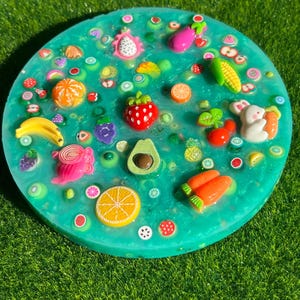 Farmers Market Picky Pad: Berry Scented Sensory Fidget Toy for Skin Picking image 12