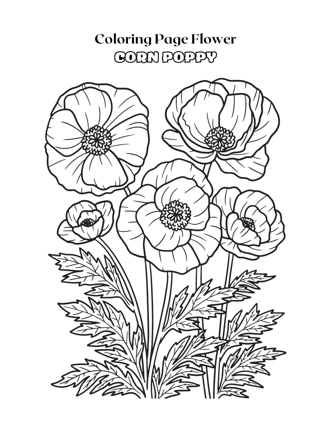 10 Adult Flower Coloring Pages Adult Coloring Book Digital Prints