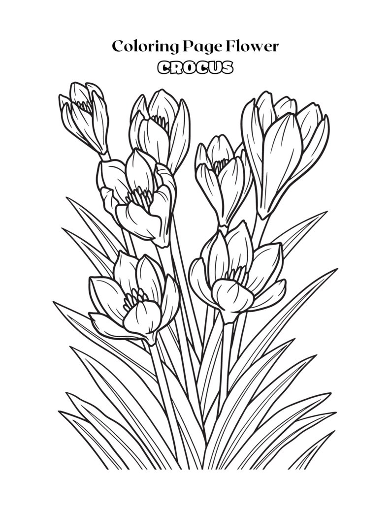 10 Adult Flower Coloring Pages - Il 794xN.5608089068 6nxv 