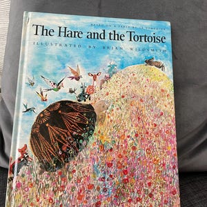 May include: A children's book titled "The Hare and the Tortoise" illustrated by Brian Wildsmith. The cover features a colorful illustration of a tortoise on a hill with a hare in the background.