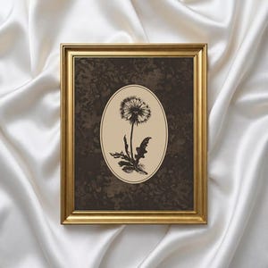 Puede incluir: Una impresión botánica enmarcada con una ilustración en blanco y negro de un diente de león. La obra de arte está dentro de una forma ovalada sobre un fondo beige, enmarcada por un marco dorado. El fondo es un patrón texturizado marrón oscuro.